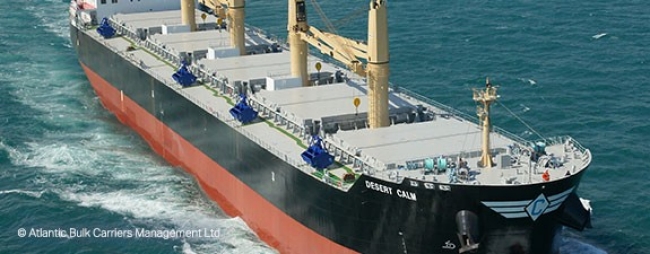 Bulk Carriers